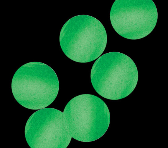 Конфетти бумажное Круги темно-зеленые