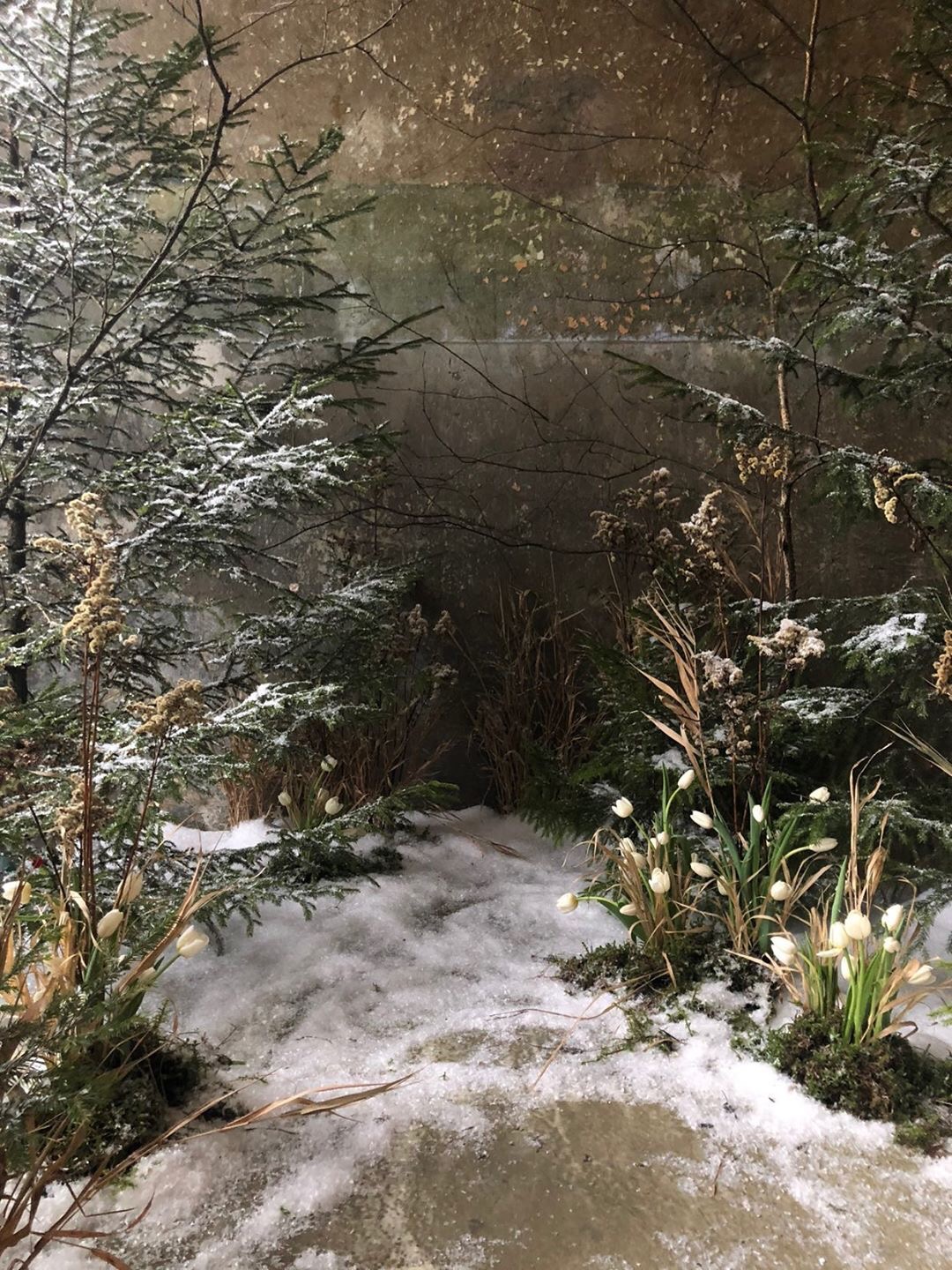 Снег-спрей из Фикс Прайс: как я украсила окна к Новому 2020 году. Жаль без обмана не обошлось